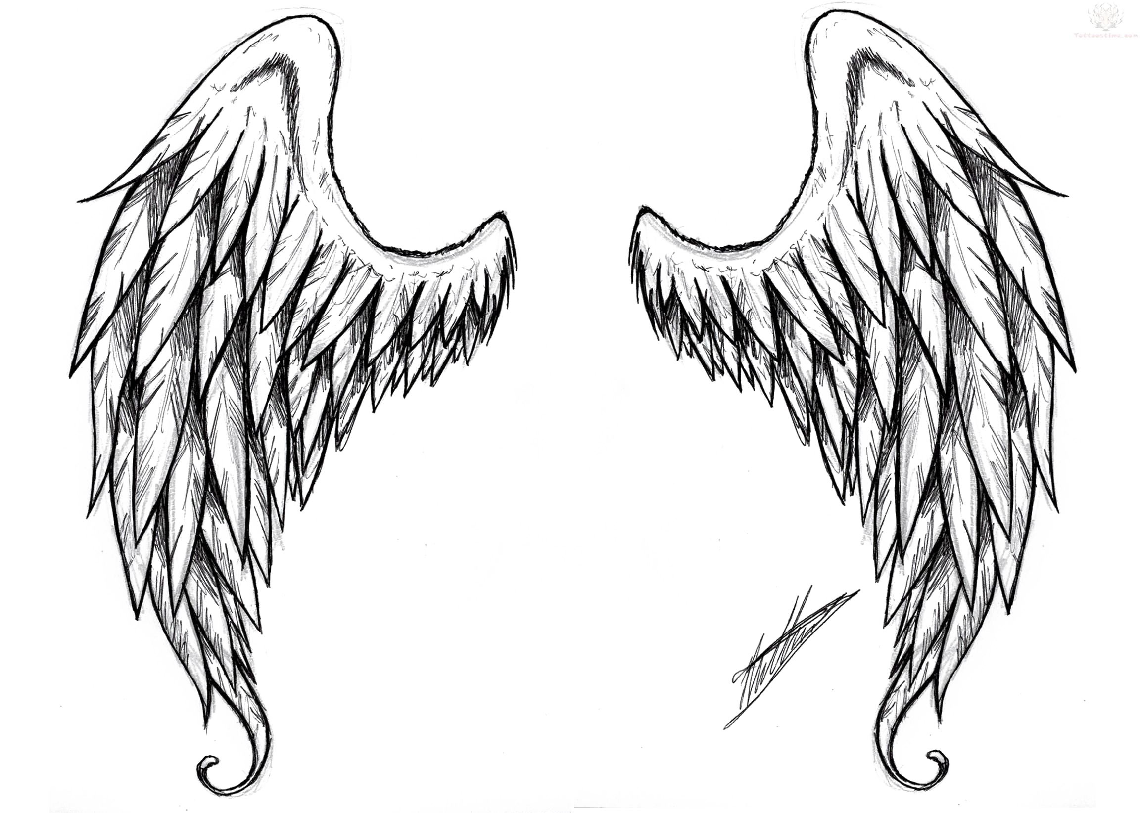 Wings Tattoo PNG Free Download