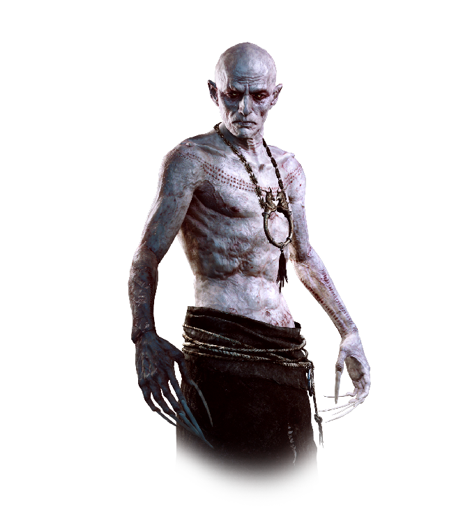 Witcher Transparent Background PNG