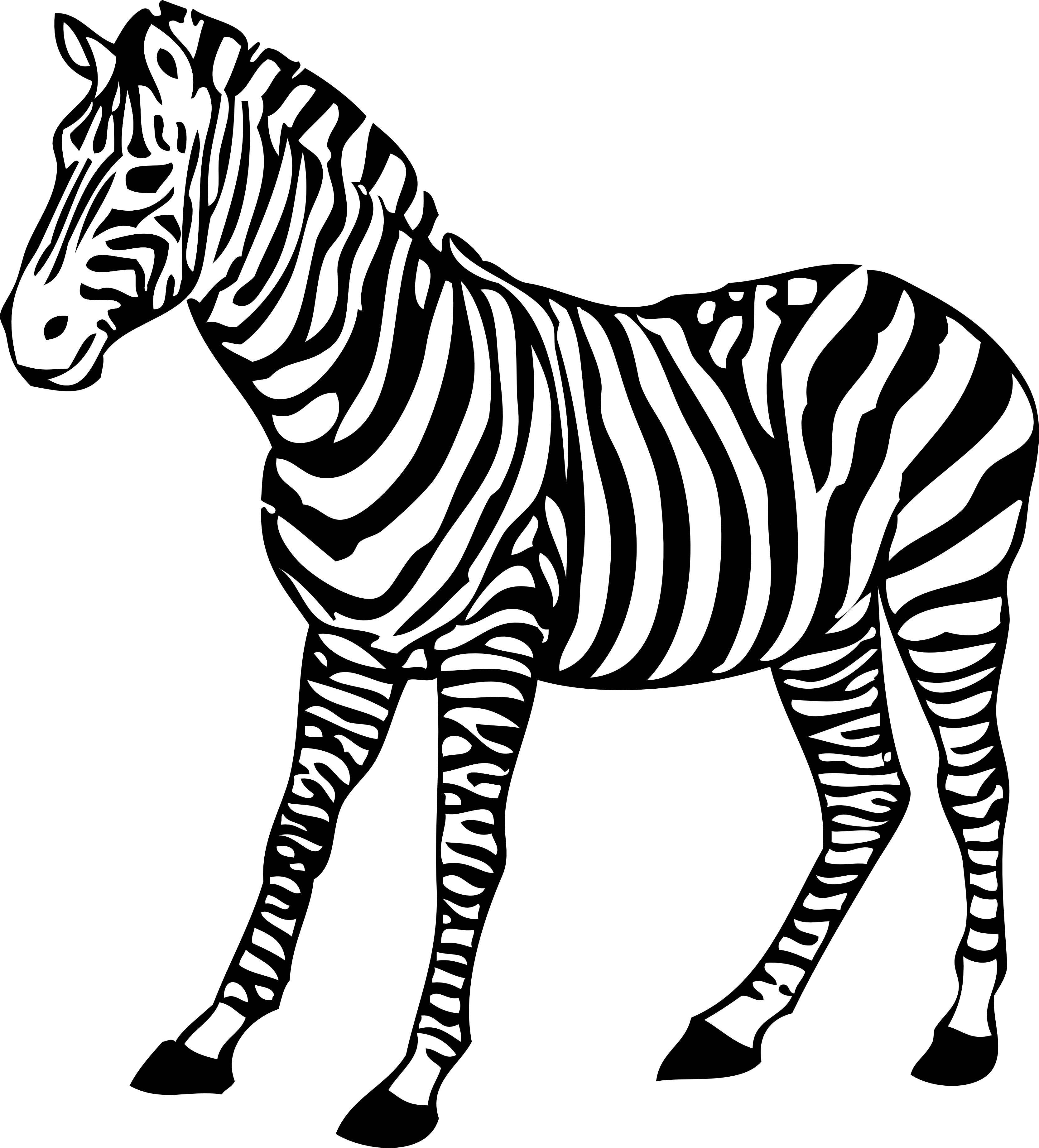 Zebra downloaden Transparentes PNG-Bild