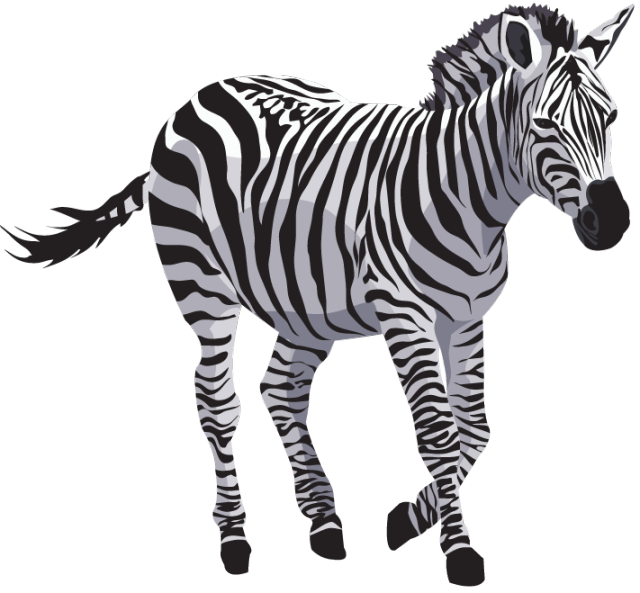 Pic Zebra PNG