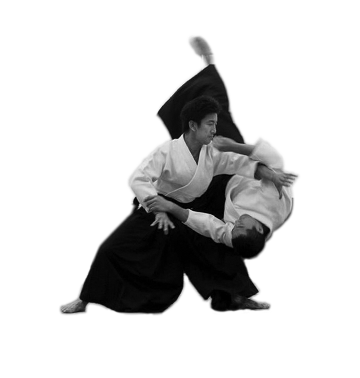 Aikido PNG High-Quality Image