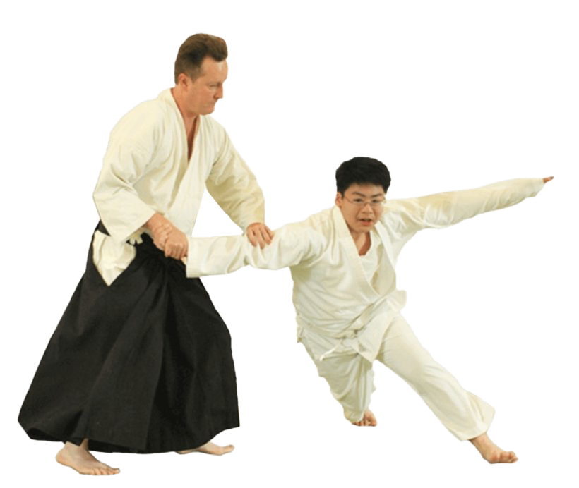 Aikido PNG Image Background