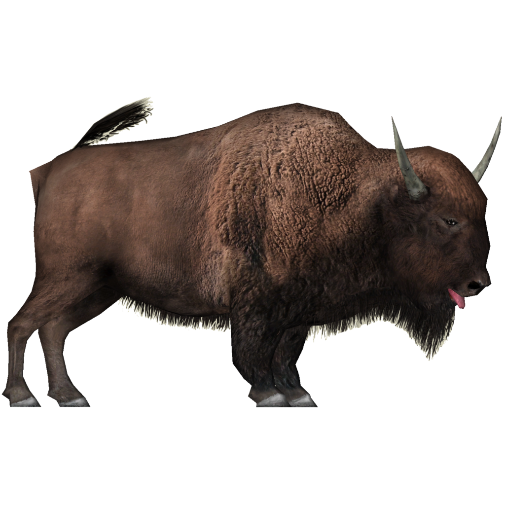 American Bison PNG High-Quality Image