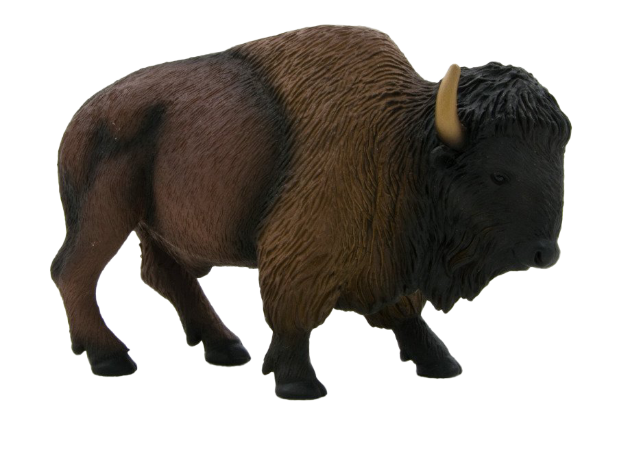 Amerikaanse bizon Transparante Afbeeldingen