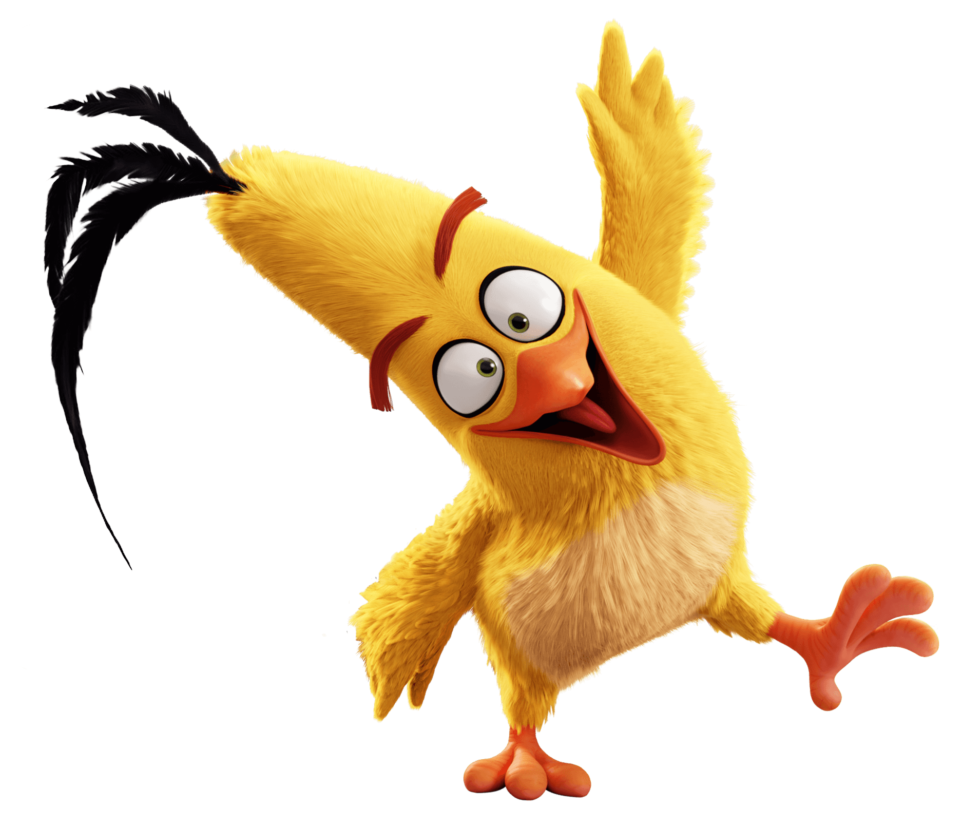 Angry Birds صورة PNG مجانية