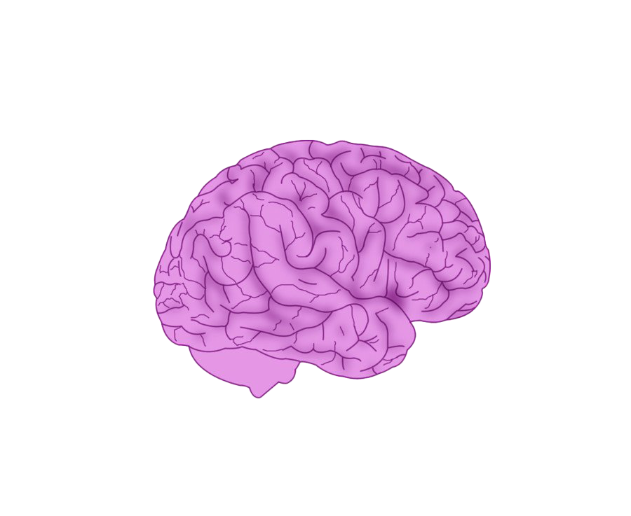 Image de téléchargement du cerveau animé