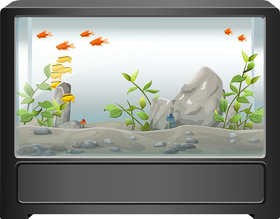 Aquarium Life PNG Kostenloser Download
