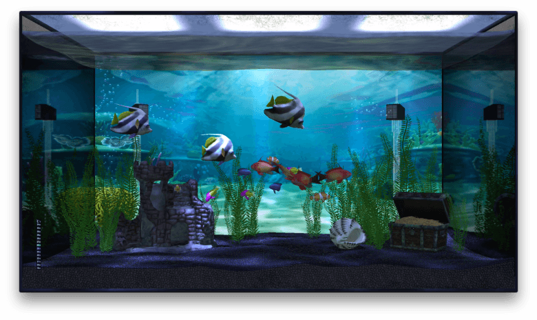 Aquarium Life Transparent Image