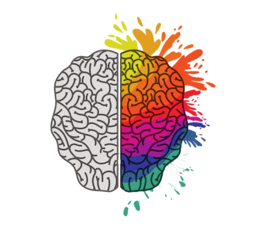 Art Brain PNG High-Quality Image