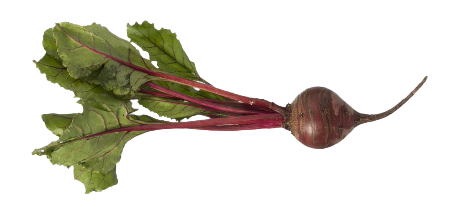 Beetroot PNG Image Background