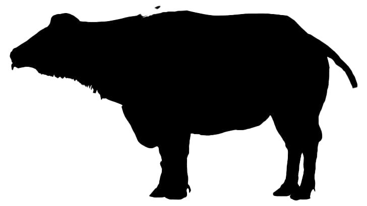 Bison Silhouette Download PNG-Afbeelding