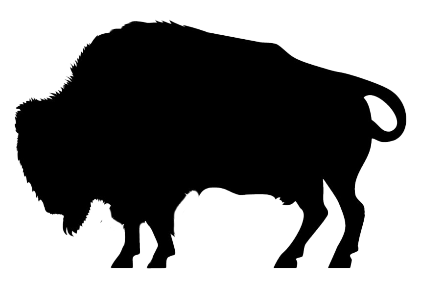 Bison Silhouette PNG High-Quality Image