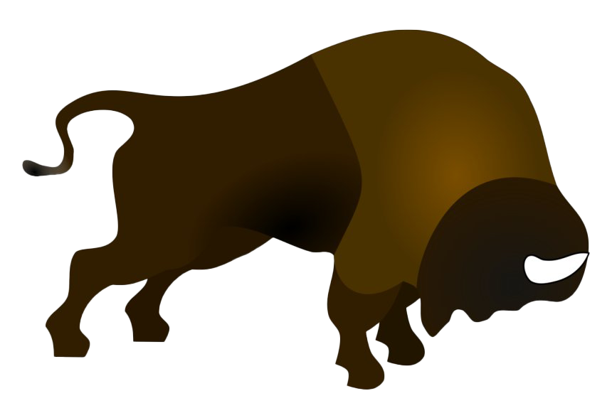 Bison Silhouette PNG Image
