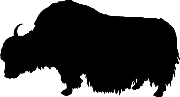 Bison silhouet PNG Foto