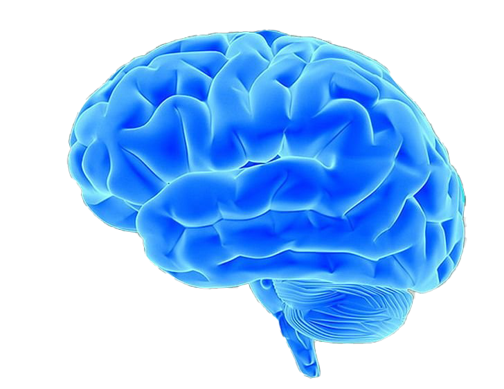 Blue Brain Download Transparent PNG Image