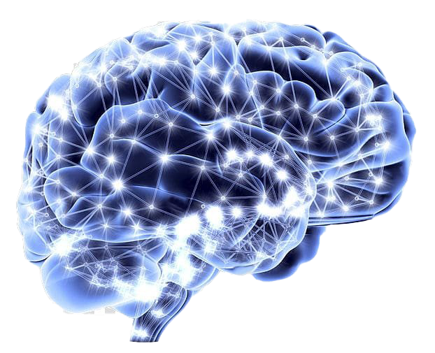 Imagen de fondo de PNG de cerebro azul