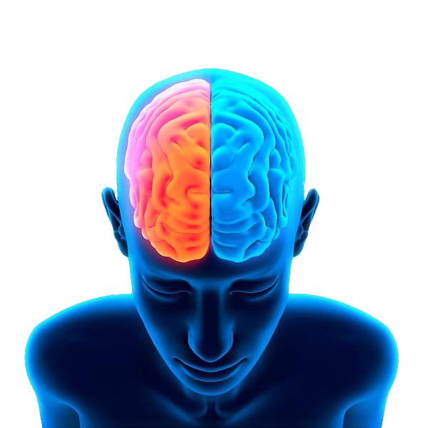 Blue Brain PNG Free Download