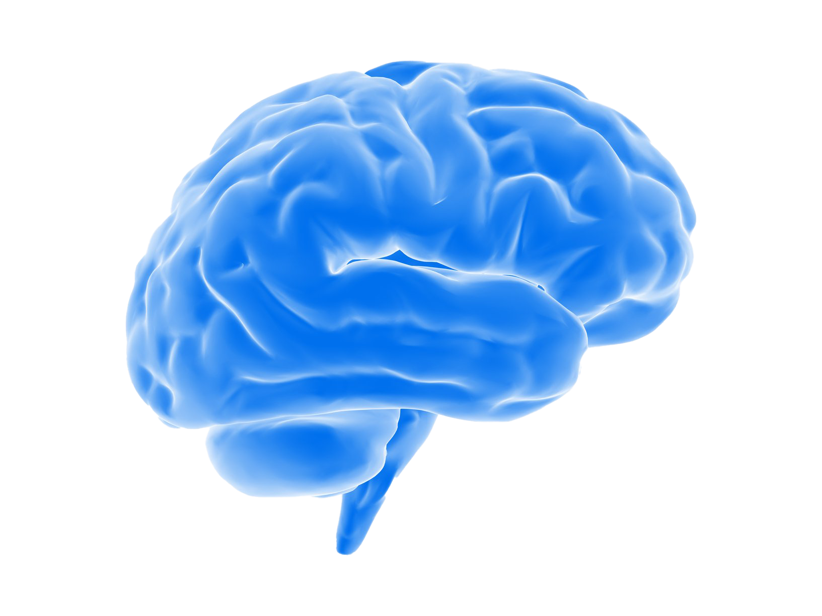 Blue Brain PNG Image Background