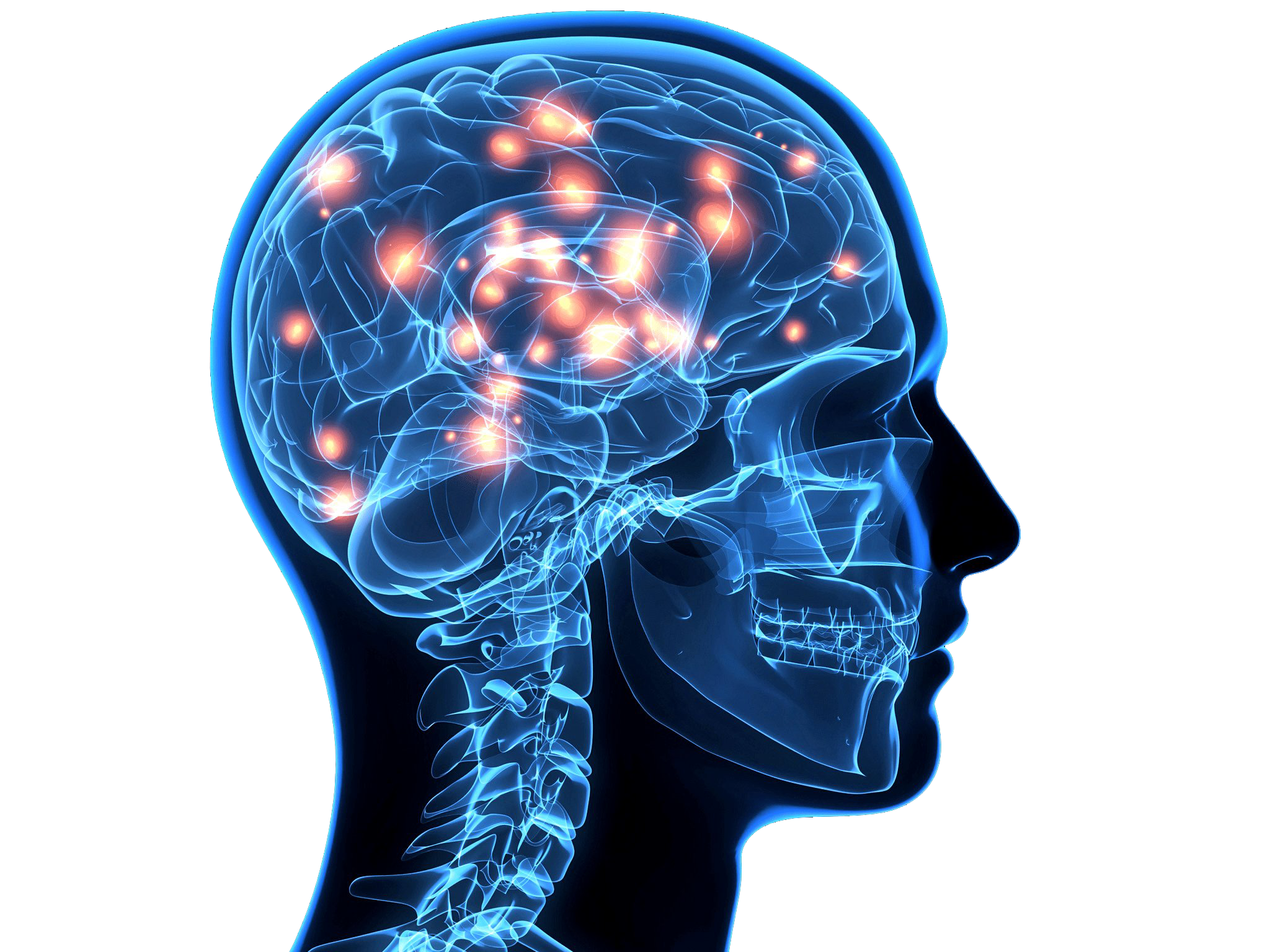 Cerveau bleu PNG image fond Transparent