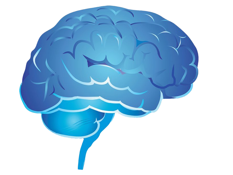Blue Brain PNG Image Transparent