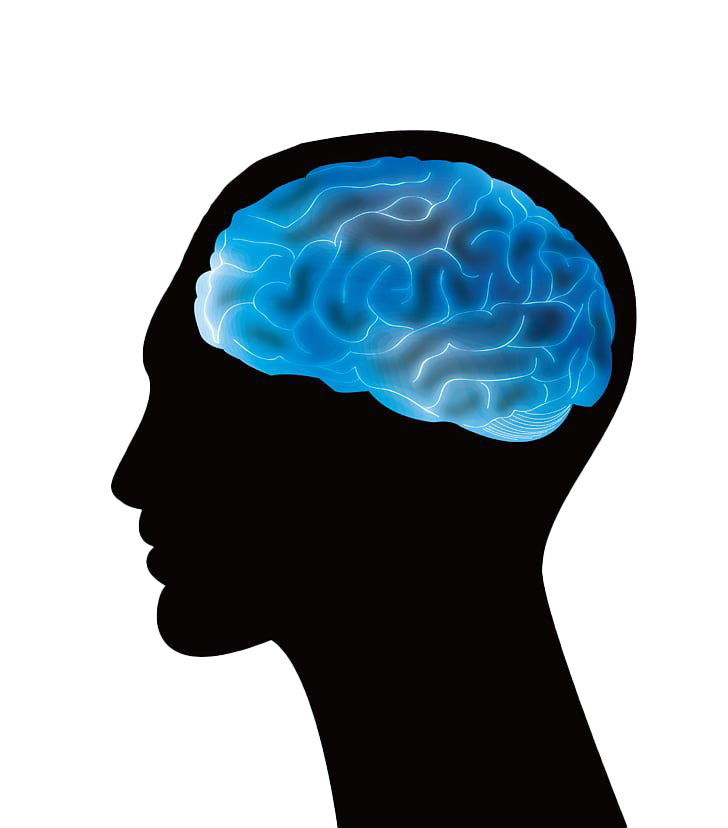 Foto de PNG del cerebro azul
