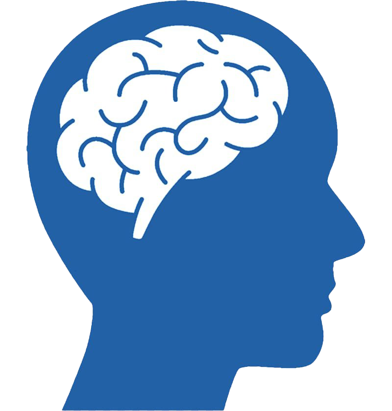 Image PNG cérébrale bleue
