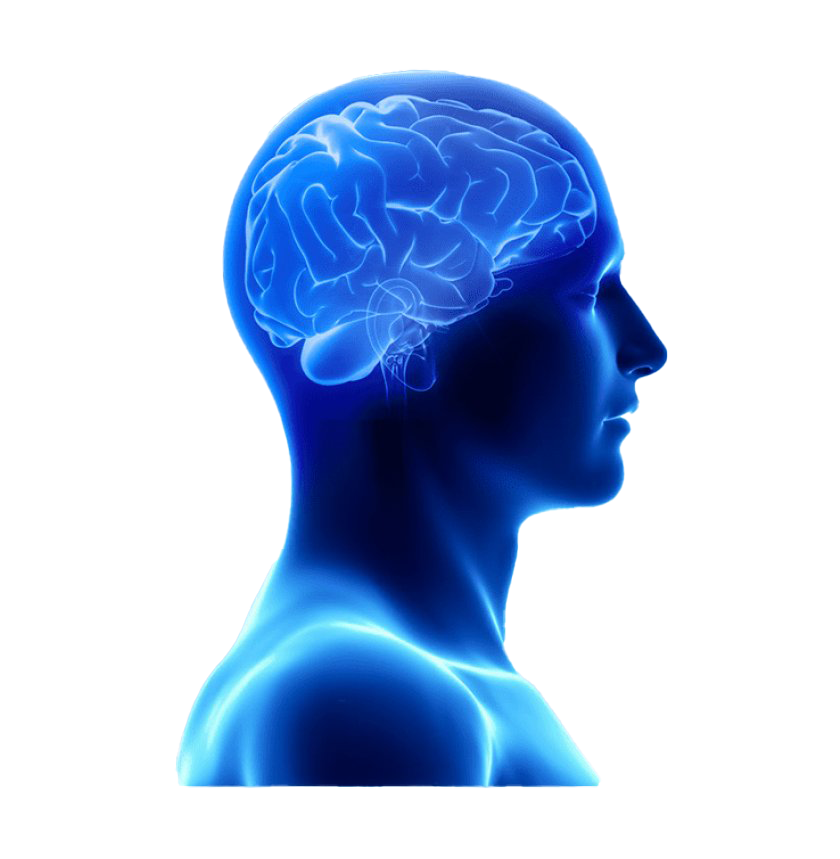 Image Transparente cerveau bleue