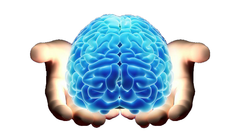 Blue Brain Transparent Images
