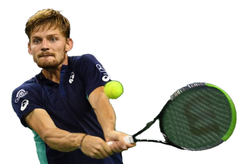 David Goffin PNG High-Quality Image