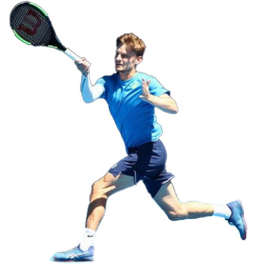 David Goffin PNG Photo