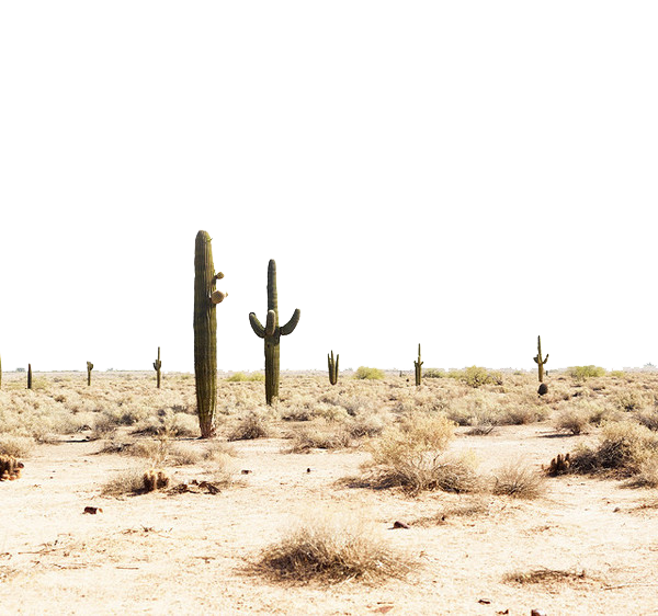 Desert PNG Image Background