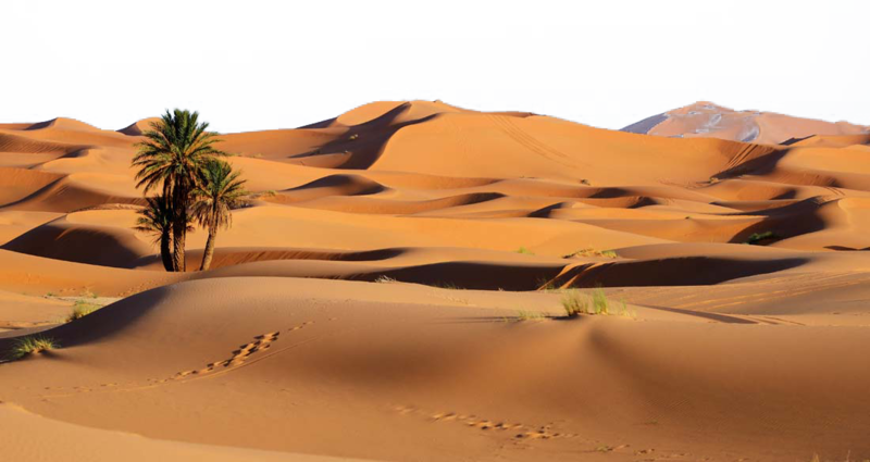 Desert PNG Transparent Image