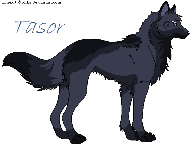 Female Wolf Download Transparent PNG Image
