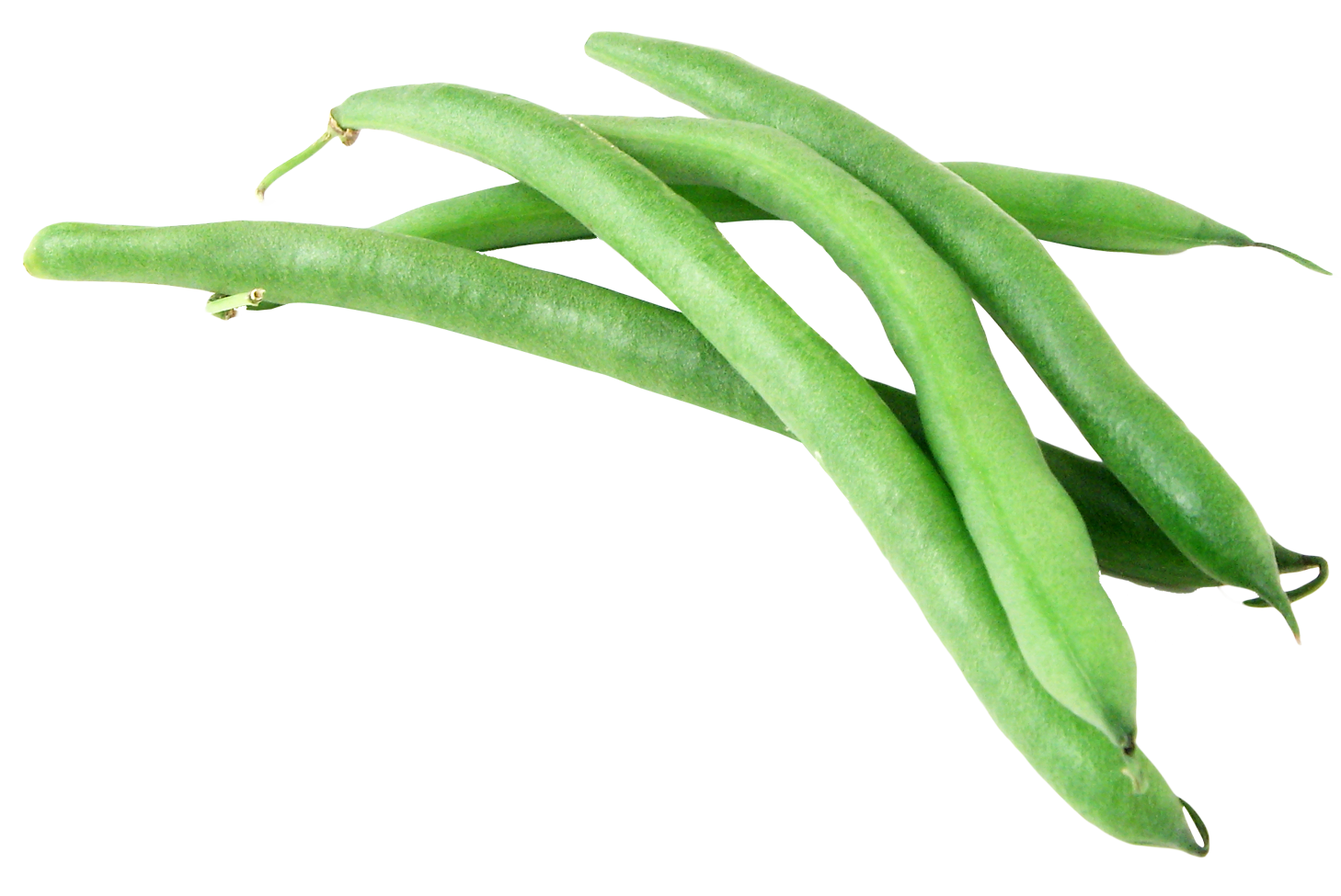 Green Beans PNG Image Transparent