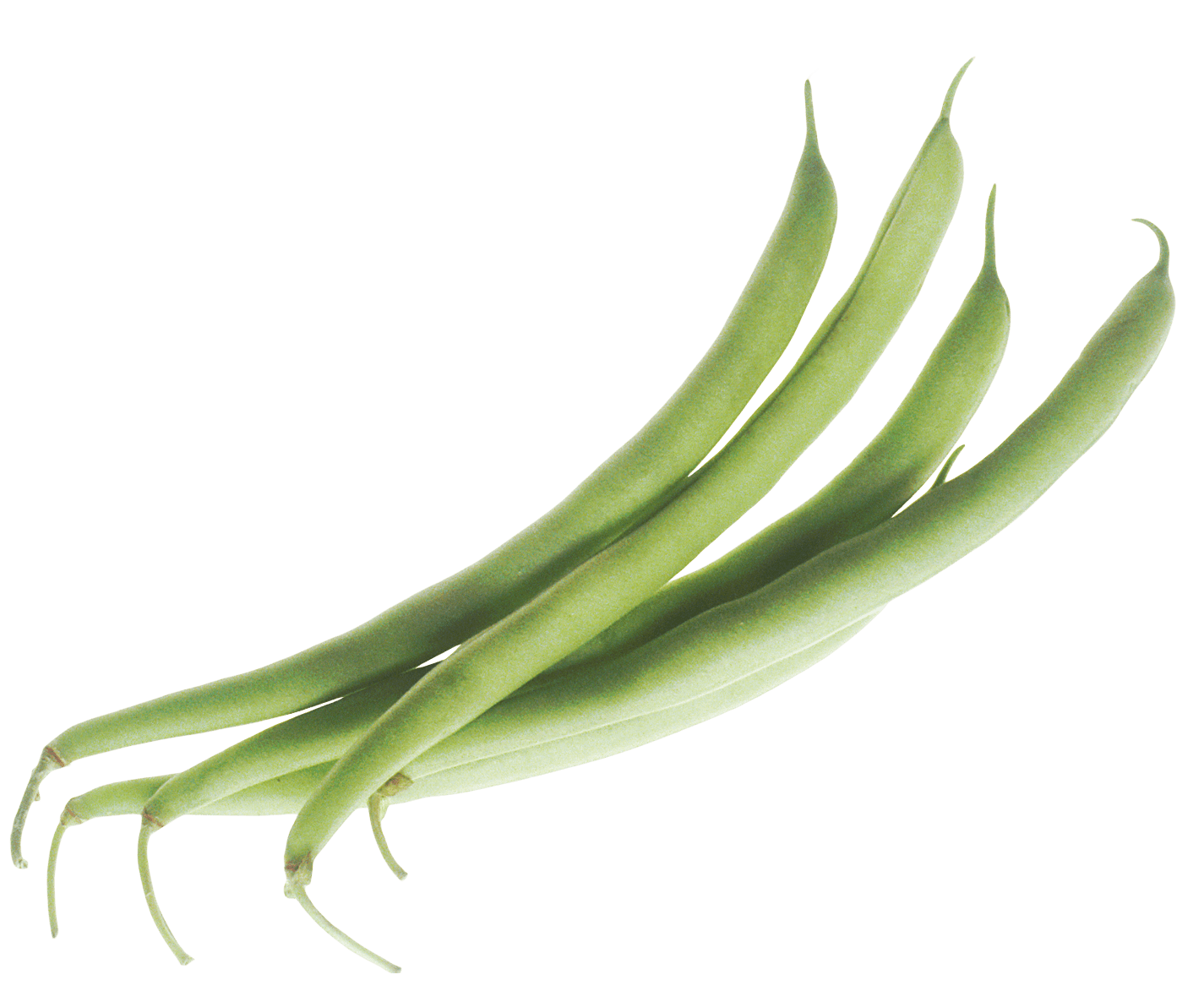 Green Beans PNG Photo