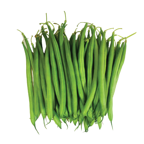 Green Beans PNG Picture
