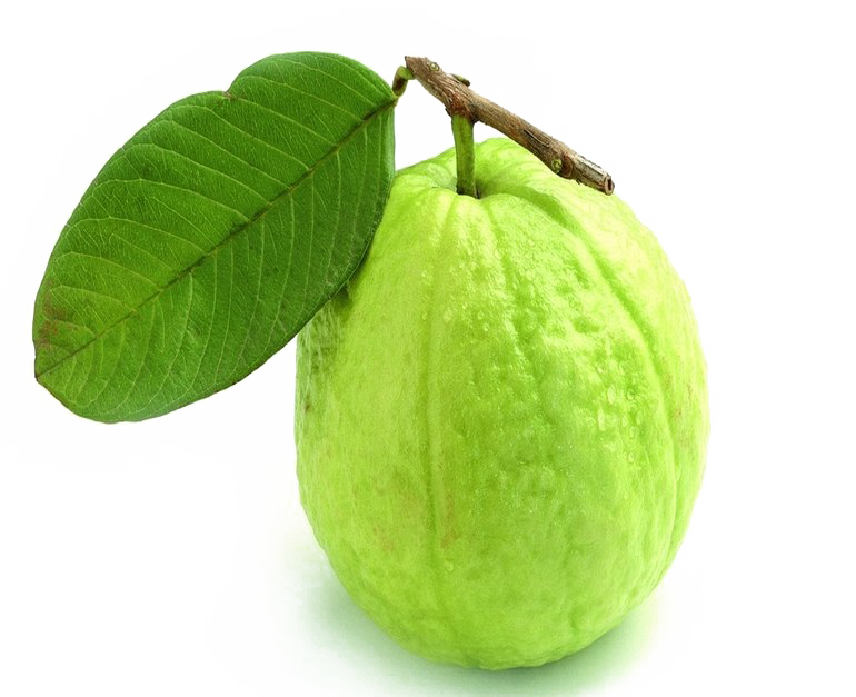 Green Guava PNG Transparent Image