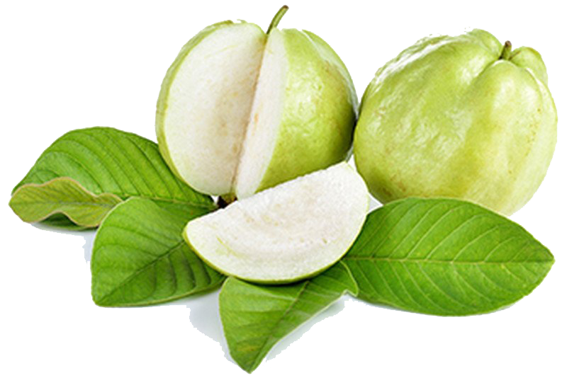 Guava PNG Free Download