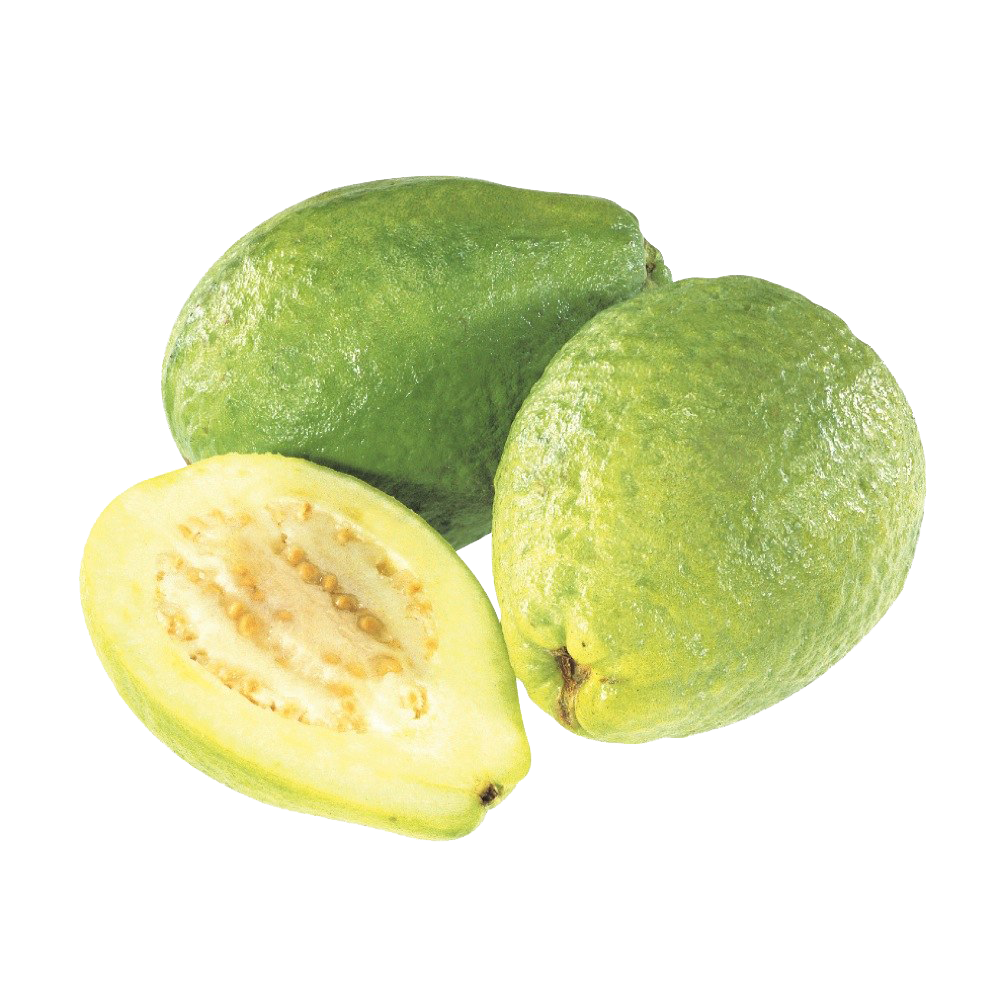 Guava PNG Image Background