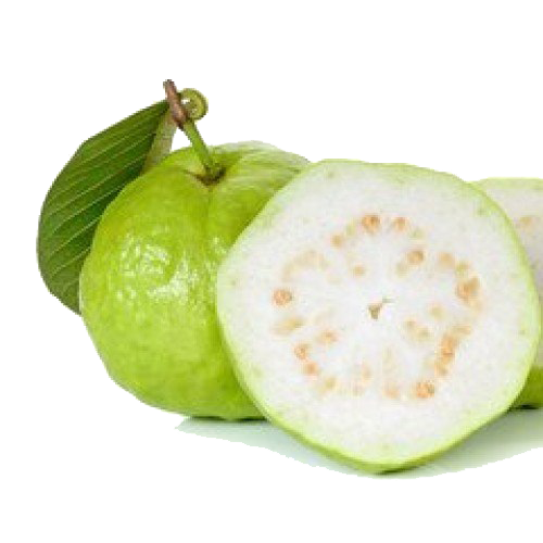 Guava PNG Photo