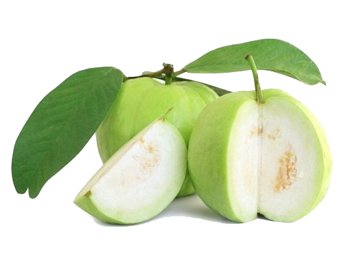Guava PNG Picture
