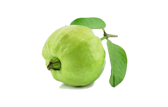 Guava PNG Transparent Image