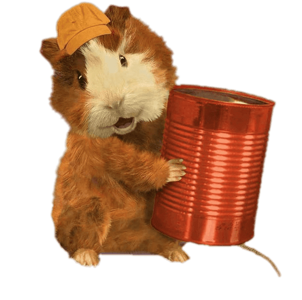 Hamster Free PNG Image