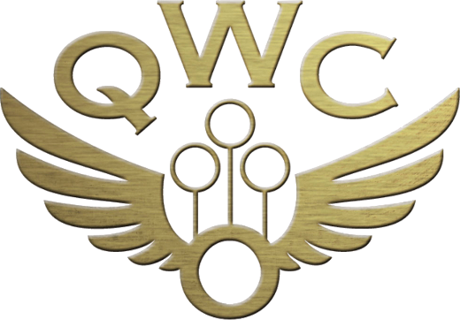 Harry Potter Quidditch PNG Pic