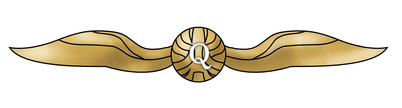 Harry Potter Quidditch PNG Picture