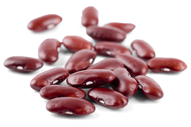 Kidney Beans Free PNG Image
