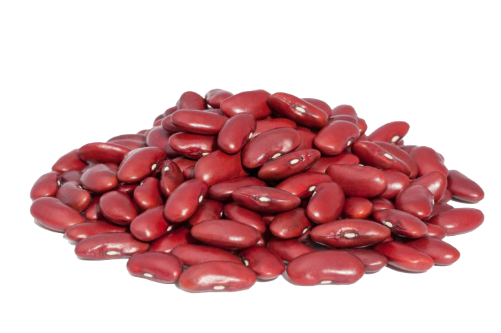 Kidney Beans PNG High-Quality Image