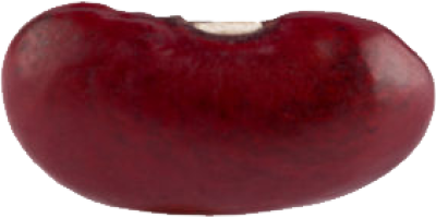 Kidney Beans PNG Image