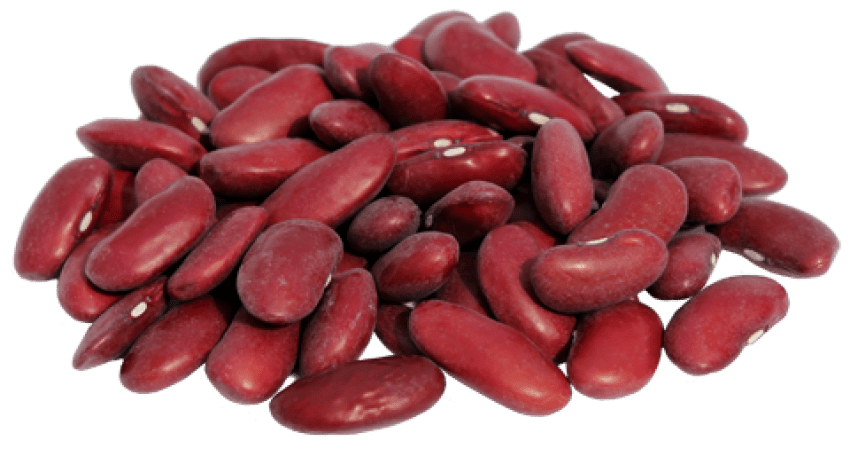 Kidney Beans Transparent Images