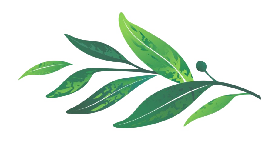 잎 PNG 투명한 이미지